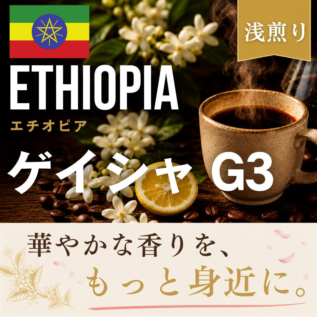 エチオピア ゲイシャ G3