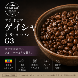 エチオピア ゲイシャ ナチュラル G3