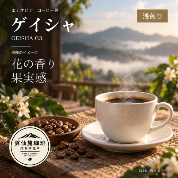 雲仙麓珈琲 エチオピア ゲイシャ G3 浅煎りの味わいイメージ